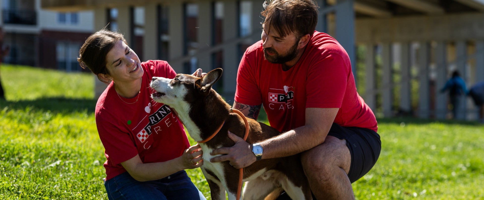Two people in red shirts kneel on grass, petting and holding a brown and white dog with a leash outdoors near buildings.