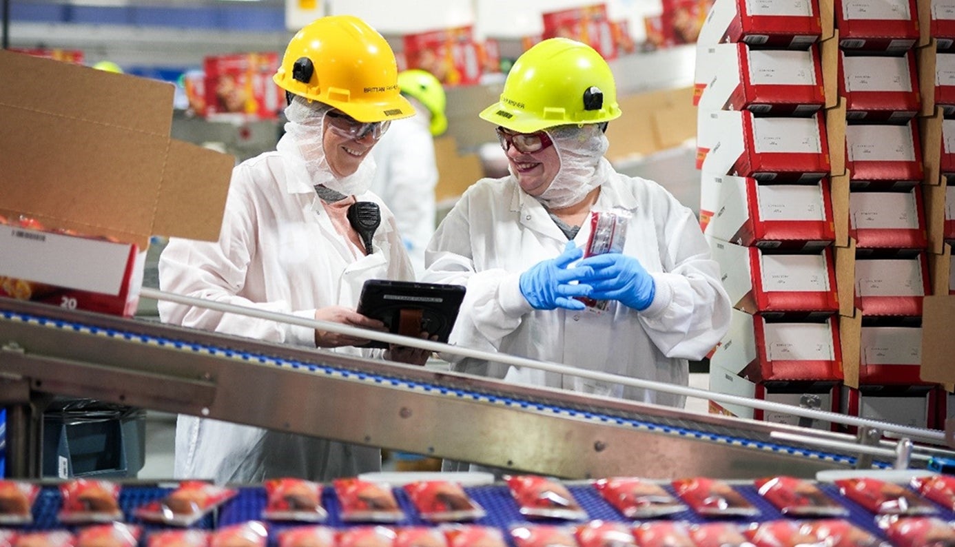 Two workers in safety gear inspect packaged food in a factory setting.