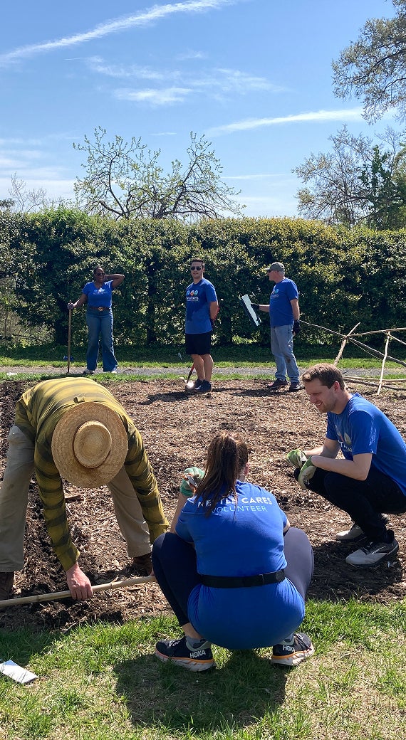 People gardening together on a sunny day, some wearing blue volunteer shirts.