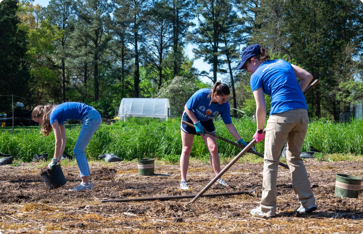 Three employees working on a garden