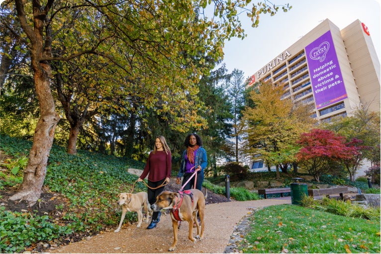 Two women walking dogs on a tree-lined path near a tall building with autumn foliage.
