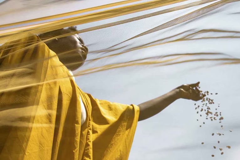 Person in a flowing yellow fabric scatters seeds under a bright sky.