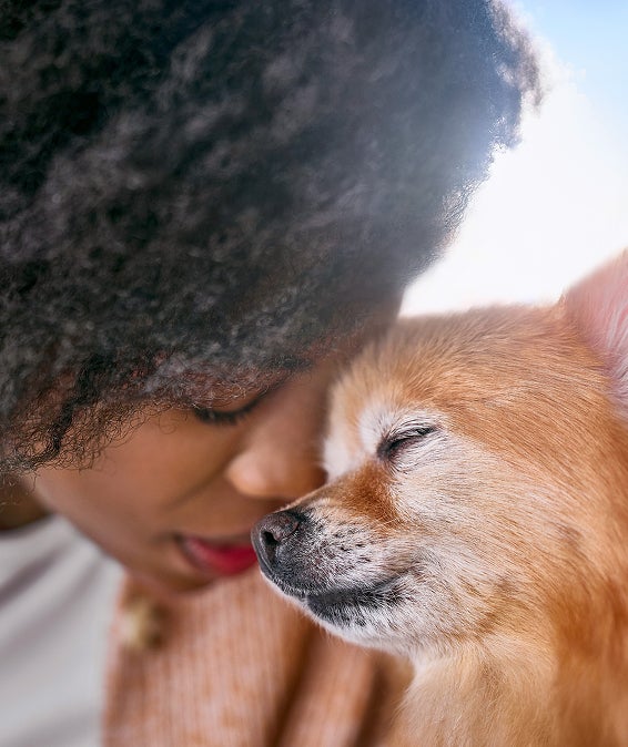 Woman with her chihuaua