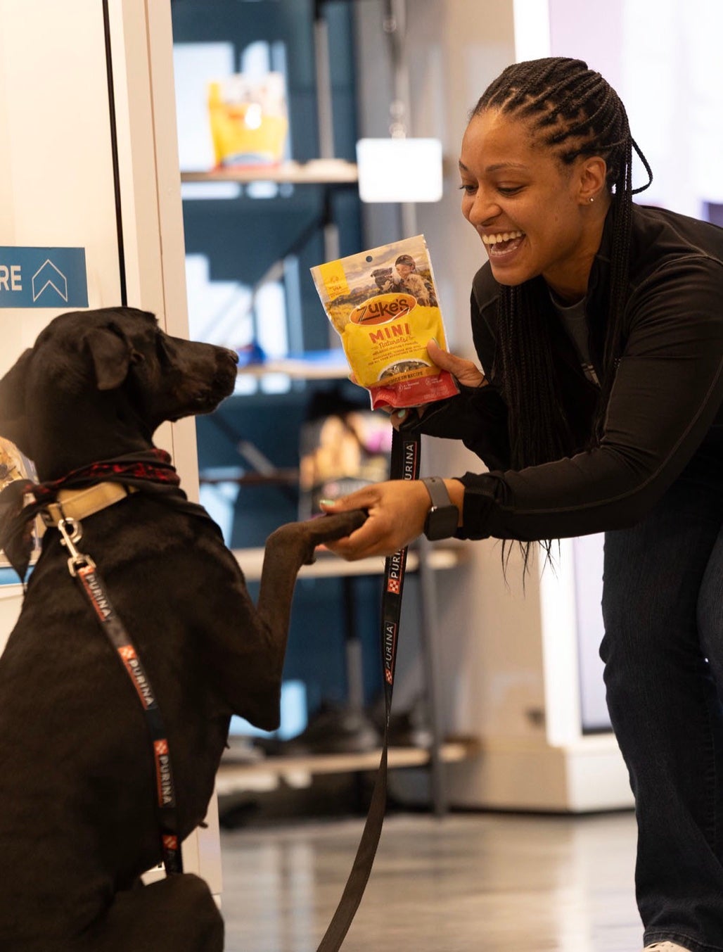 Sales associate offering a treat to a dog in a pet store