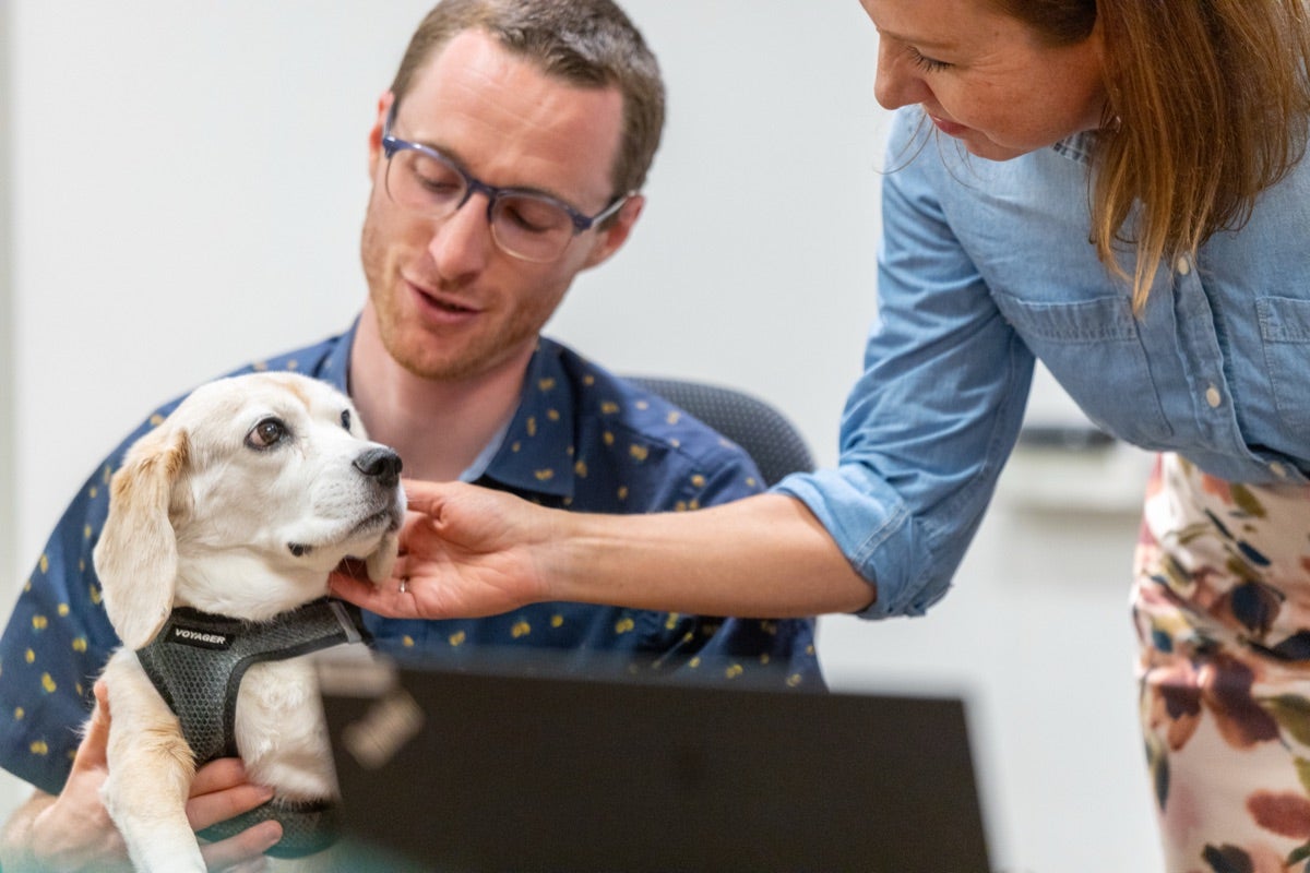 Two associates petting a beagle at a desk