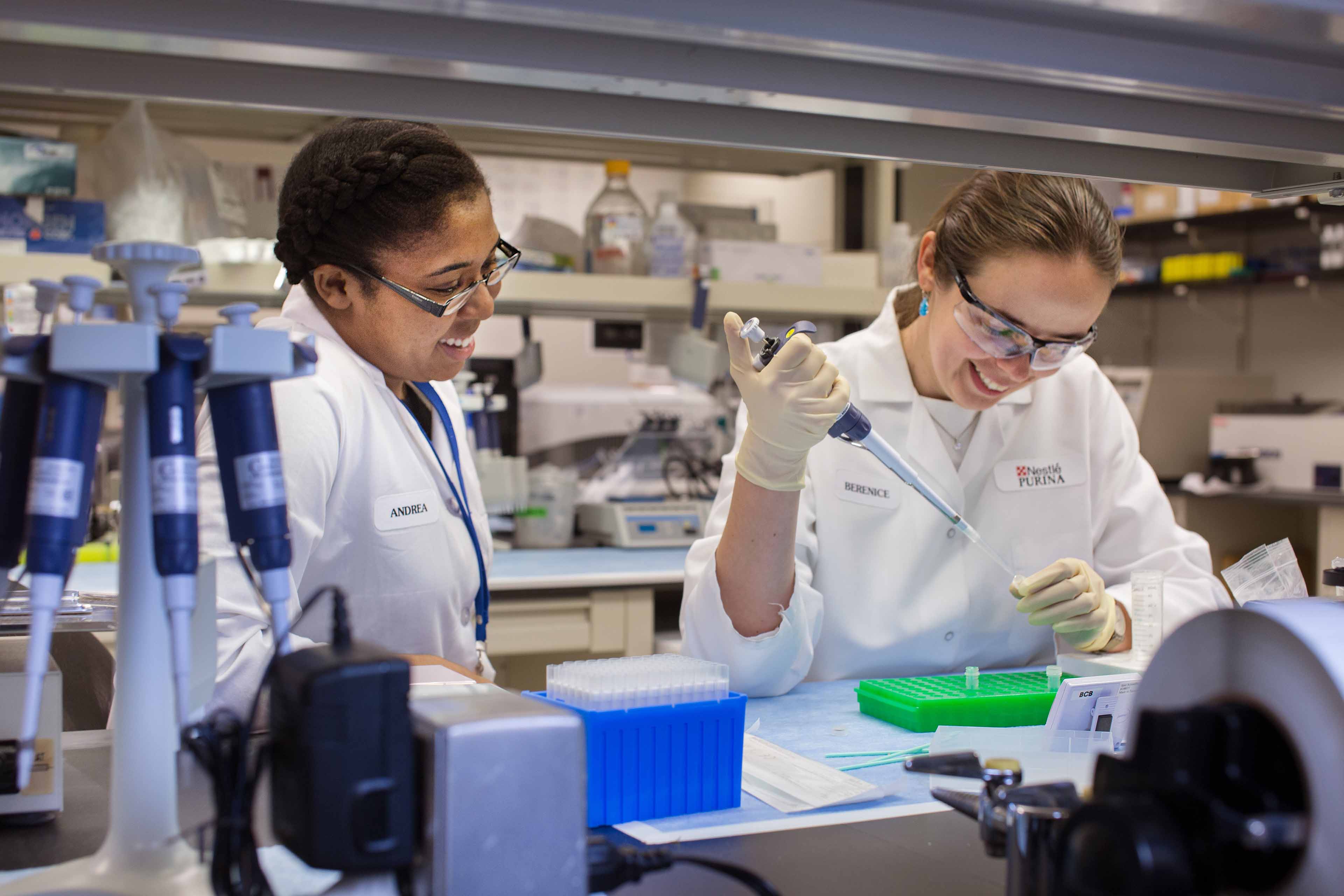 Two researchers experiment in the laboratory