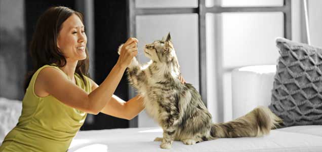 Woman playing with her cat