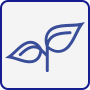 sprout