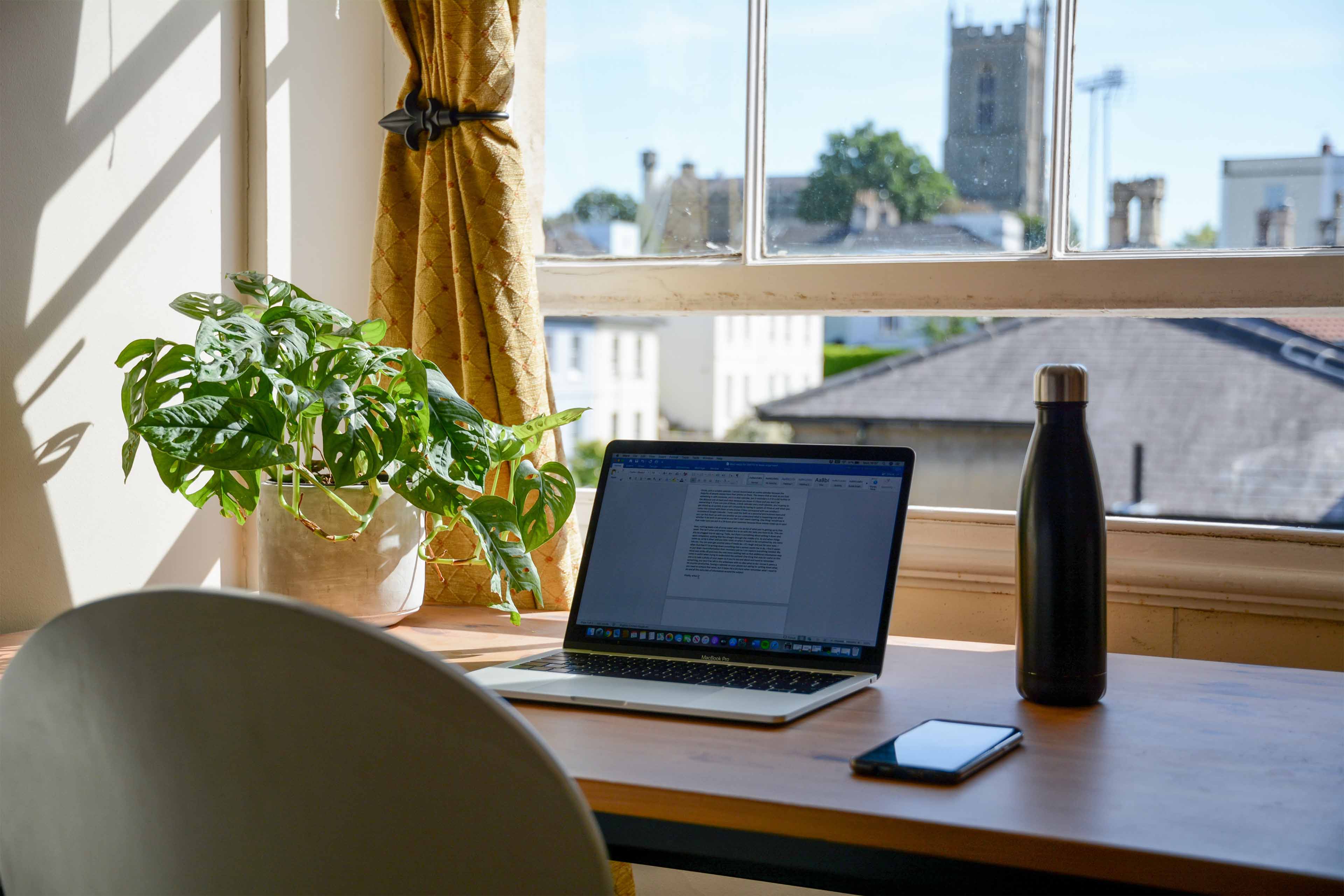 Laptop and plant on desk overlooking a window