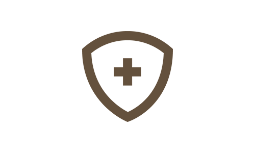 Shield with cross icon