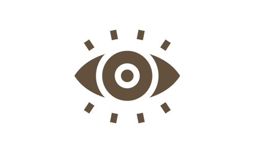 Eyeball Icon