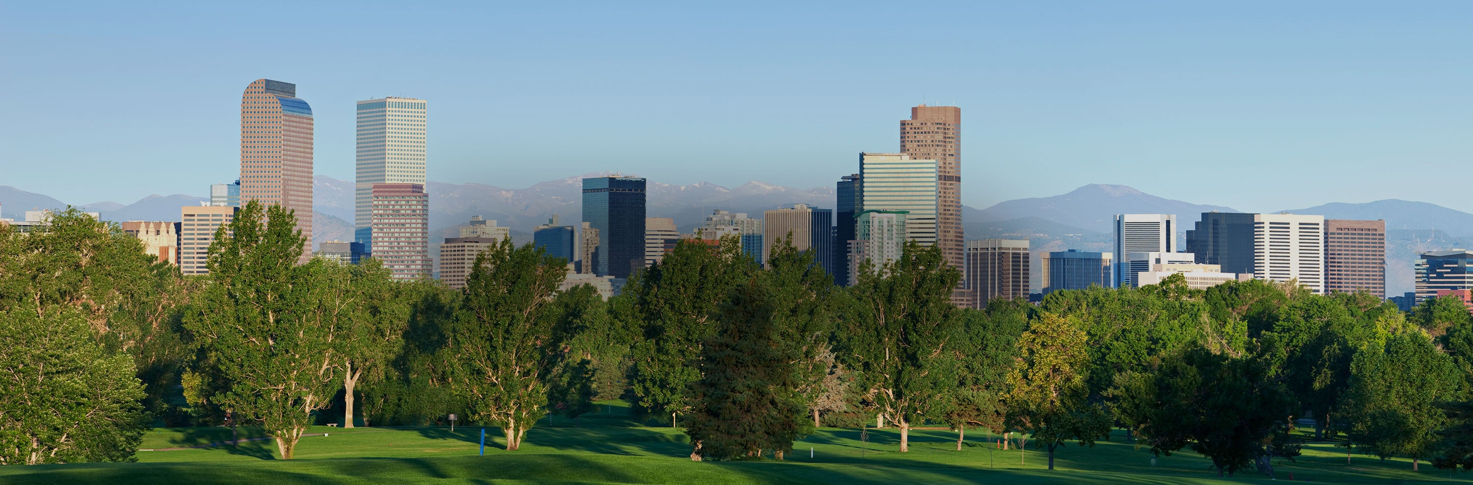skyline of Denver behind a green park with mountains in the background