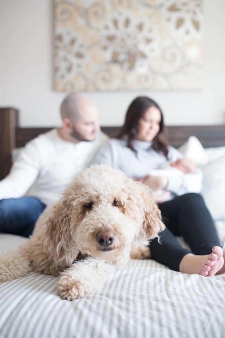 Couple and baby laying on bed with their dog smiling