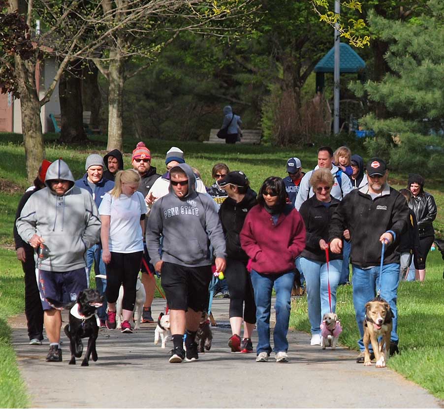 Group of Purina employees walking for charity