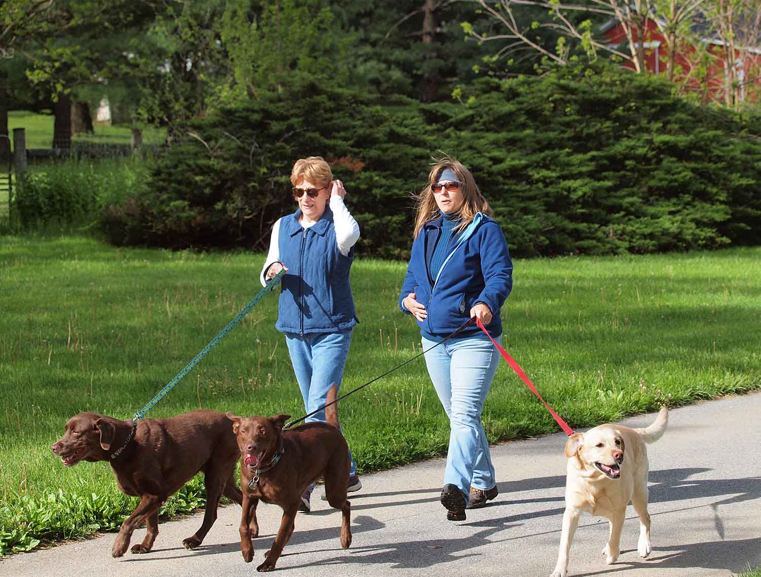 two women walking their dogs