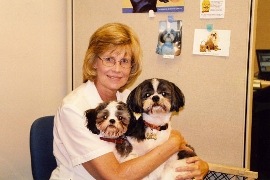 Woman sitting in desk chair with two dogs on her lap
