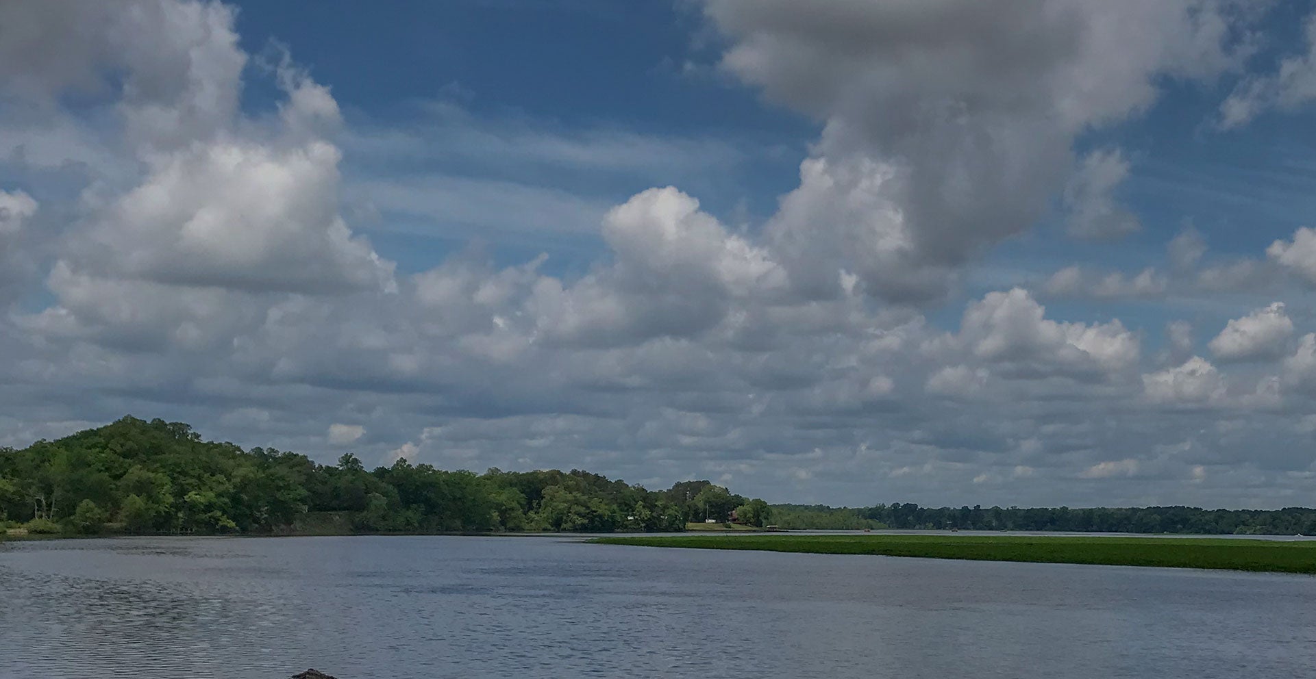 Waterfront landscape in King William, VA