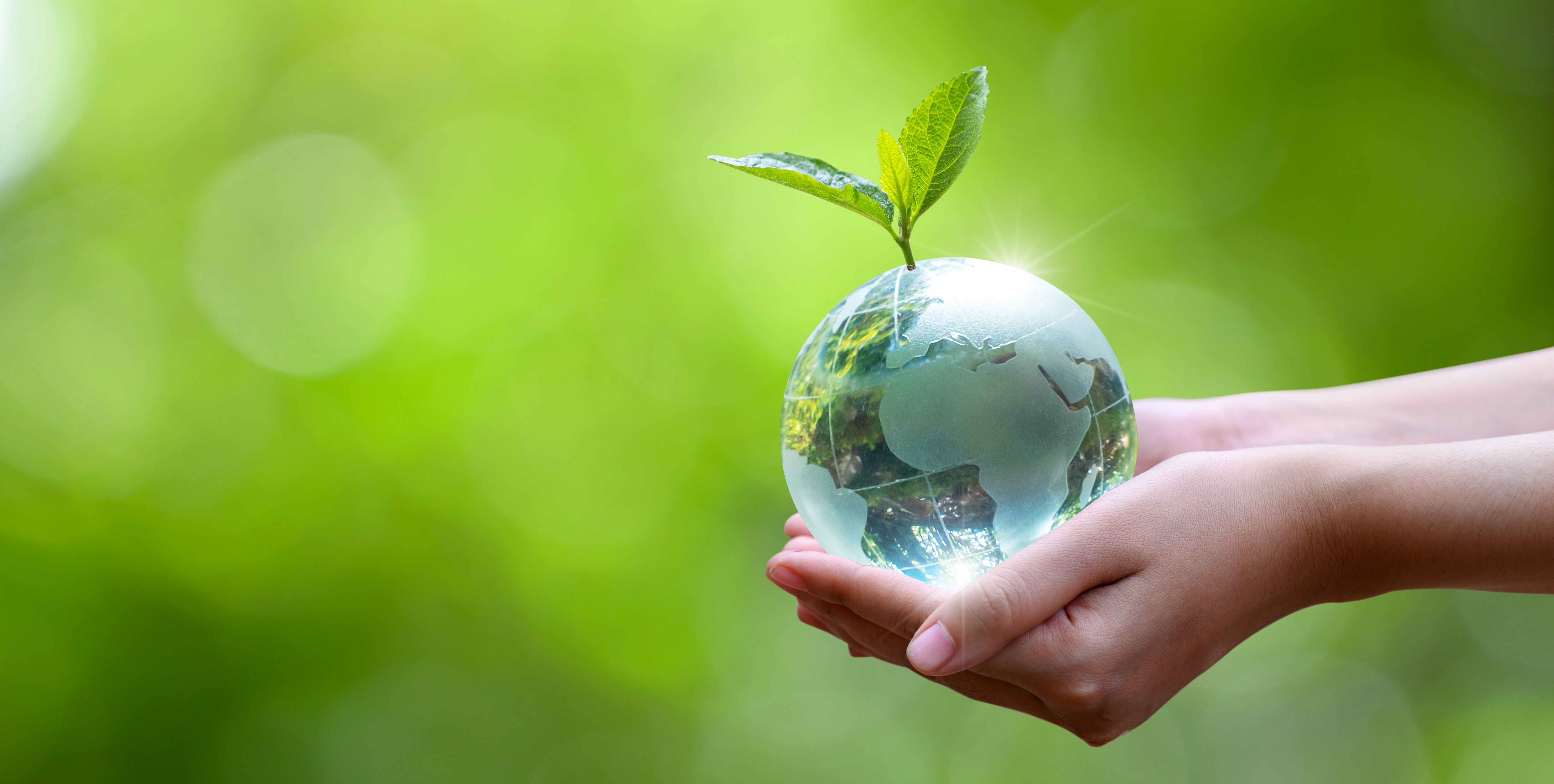 glass globe held in hands