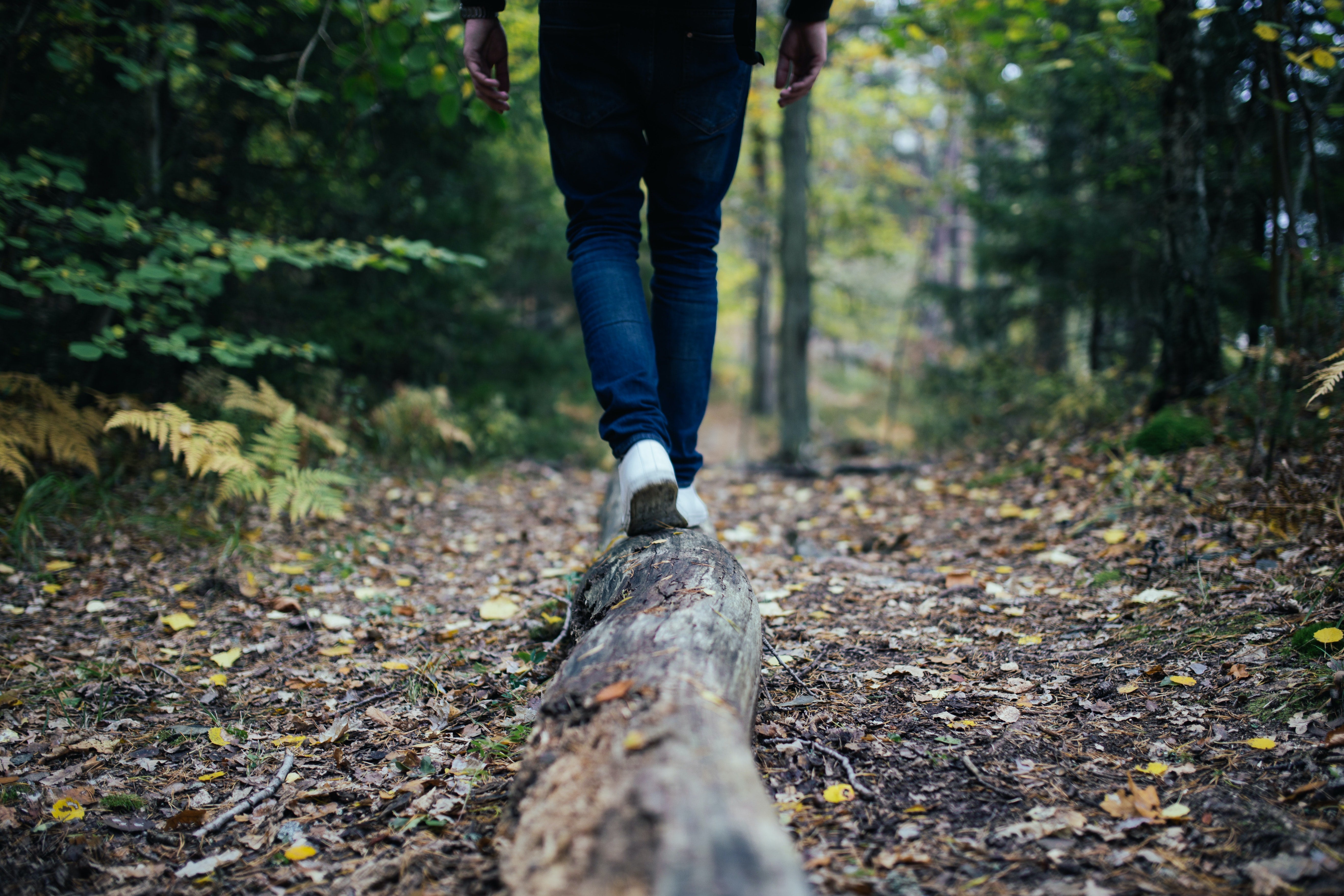 view of a person balancing on a log