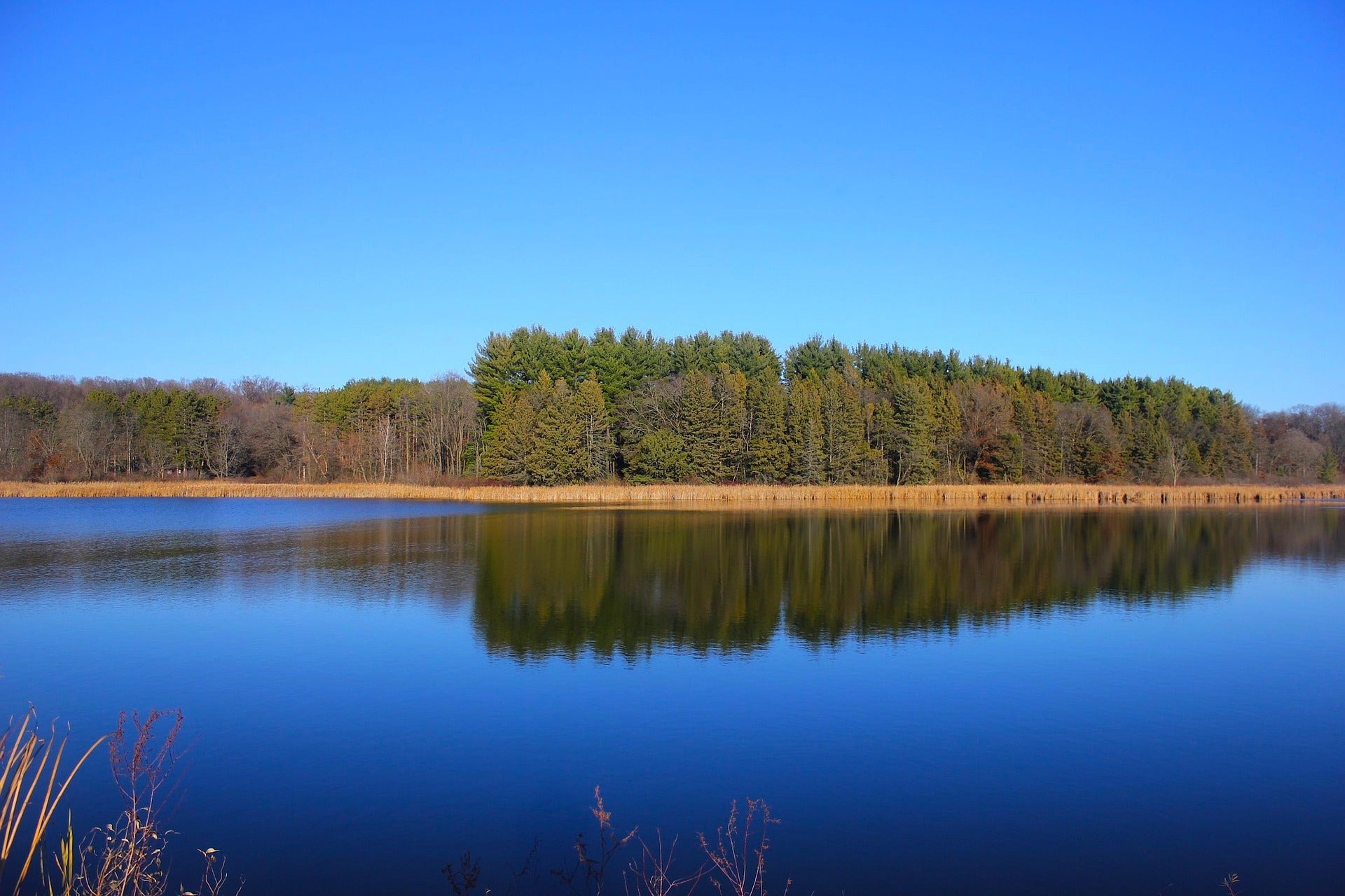lake scene