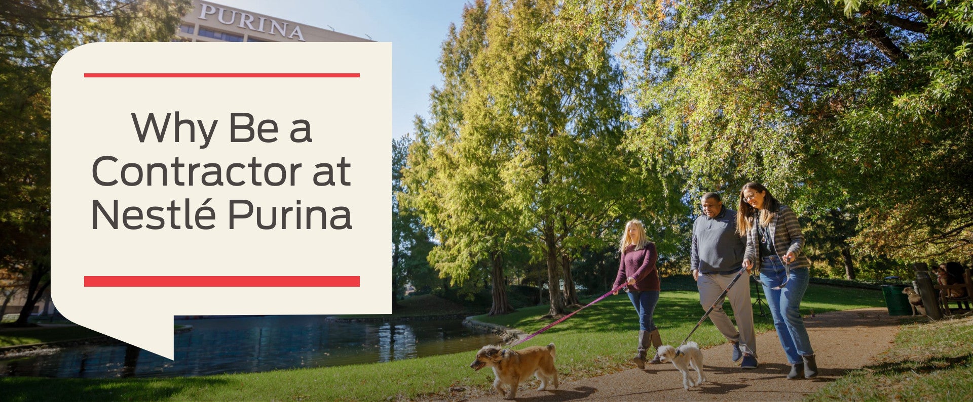 People walking dogs in dog park on campus