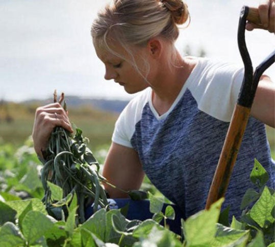 Woman working in a farm field