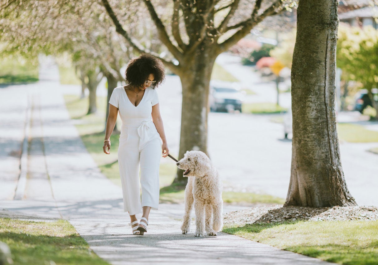 woman walking dog down the street on a leash