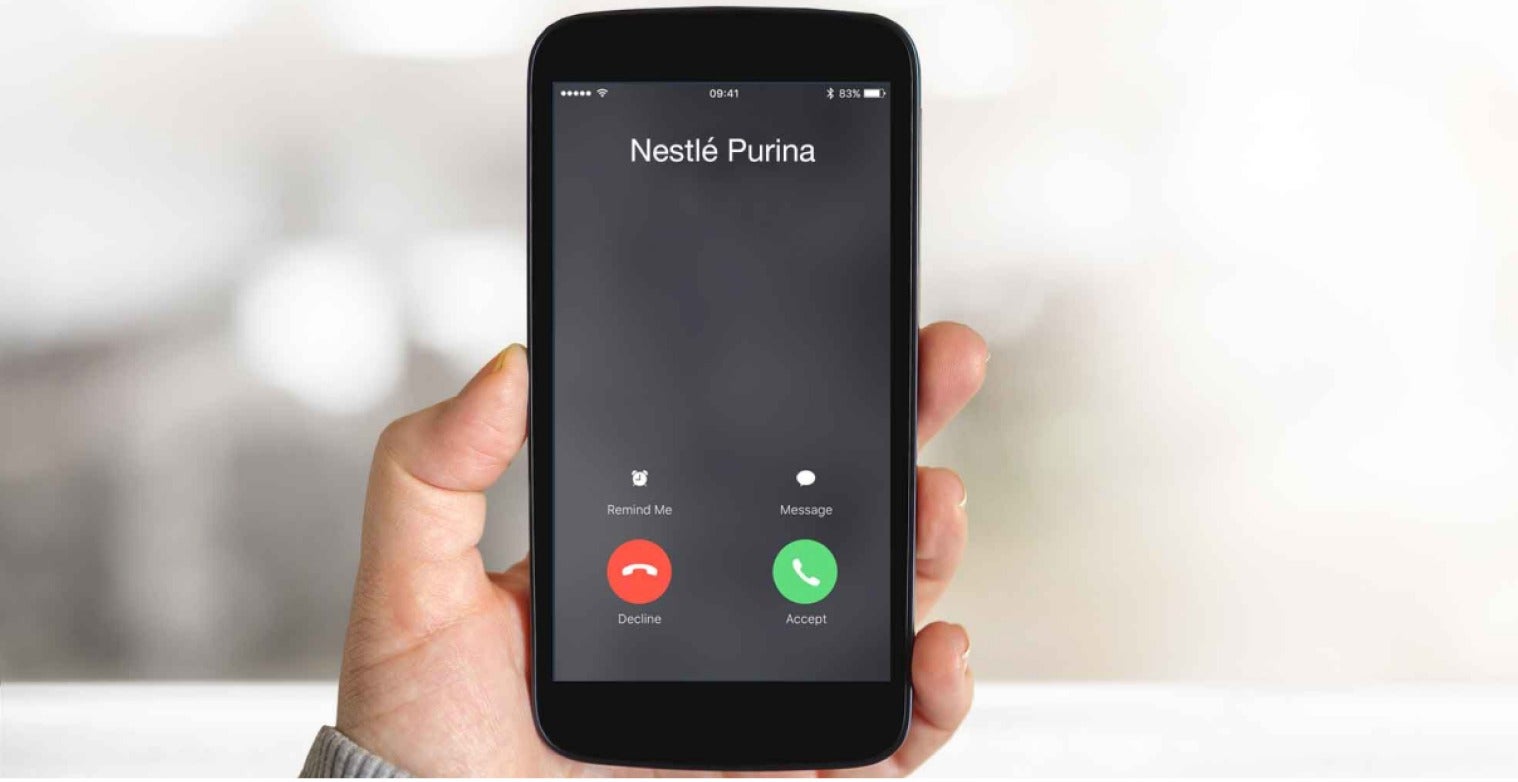 Purina phone interview, part of the recruitment process