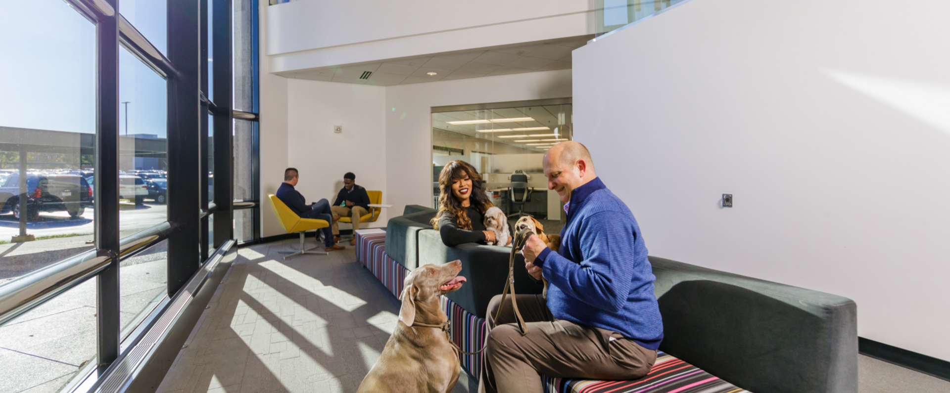 Pet-friendly office with coworkers petting dogs