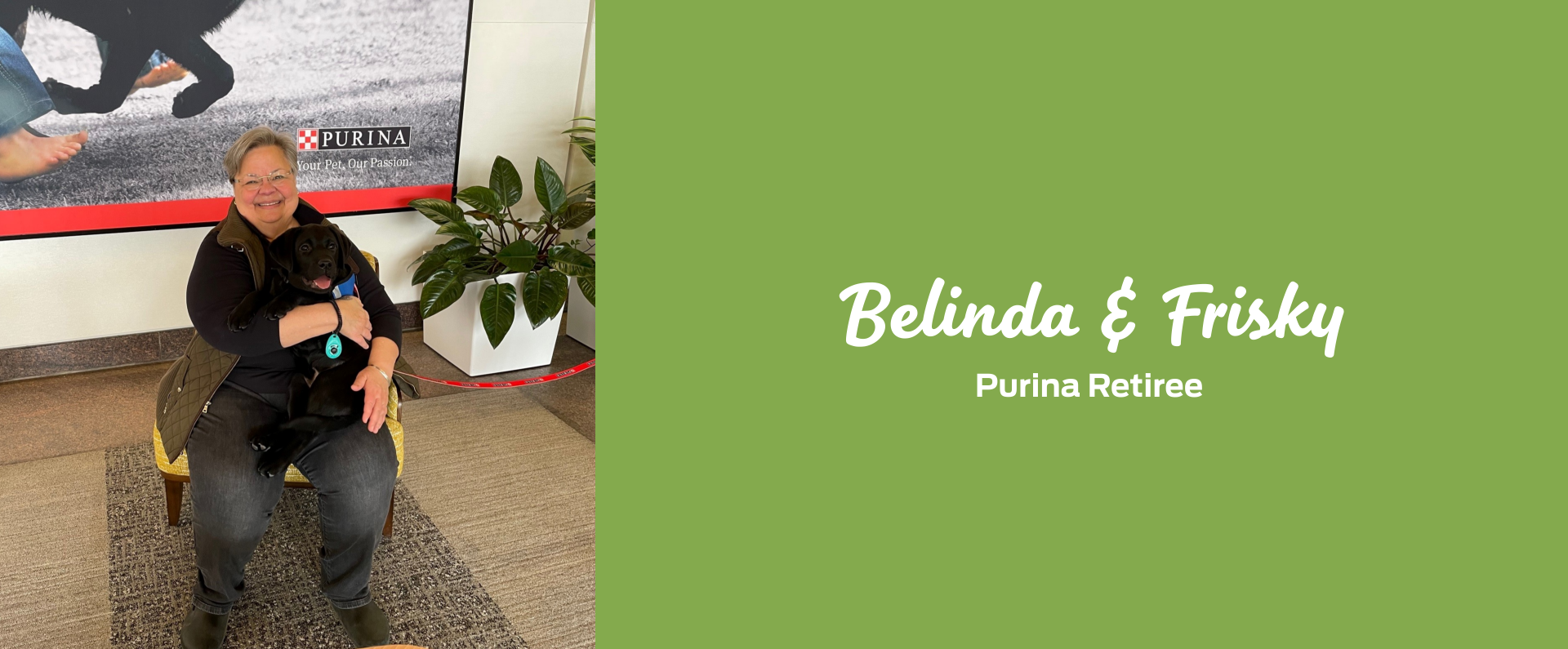 Woman smiling with dog on lap - Meet Belinda and Frisky, Nestlé Purina retirees