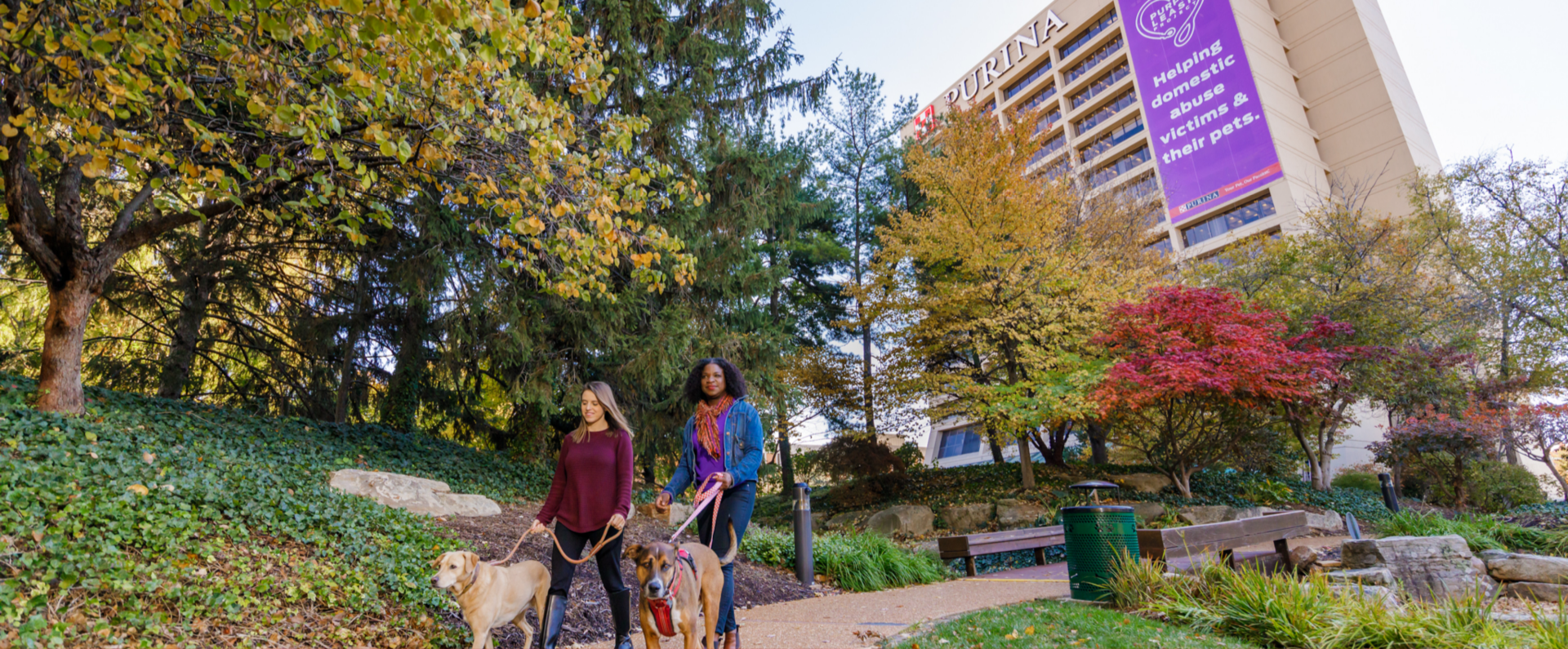 Women walking dogs in the on-campus park