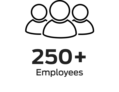 250+ employees