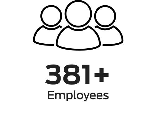 381+ employees