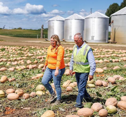 Two people walking through a pumpkin patch with silos in the background.