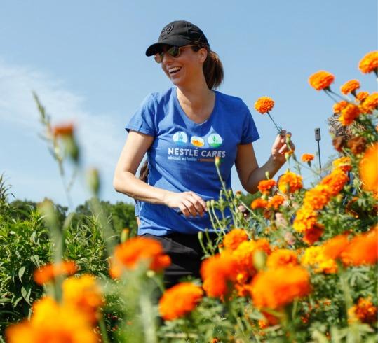 Nestle employee picking orange flowers in a field