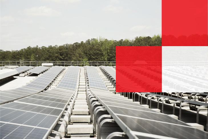 solar panels on a purina factory