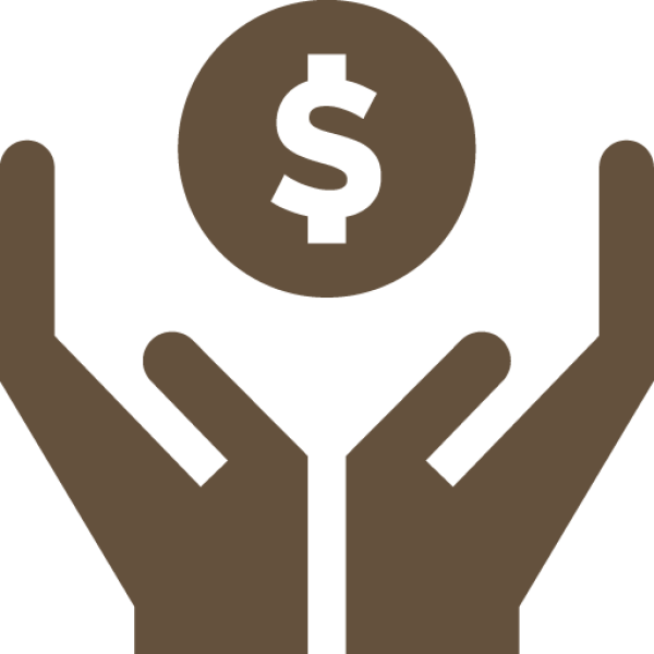 Money Icon