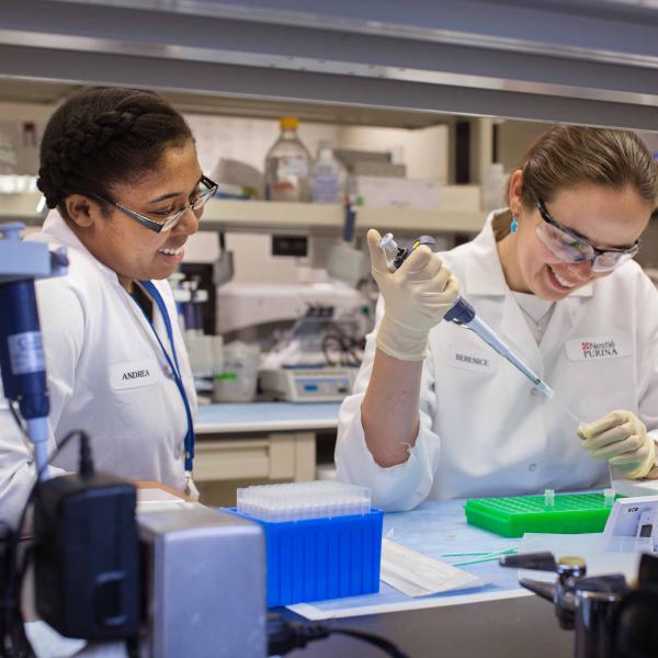 Two researchers experiment in the laboratory