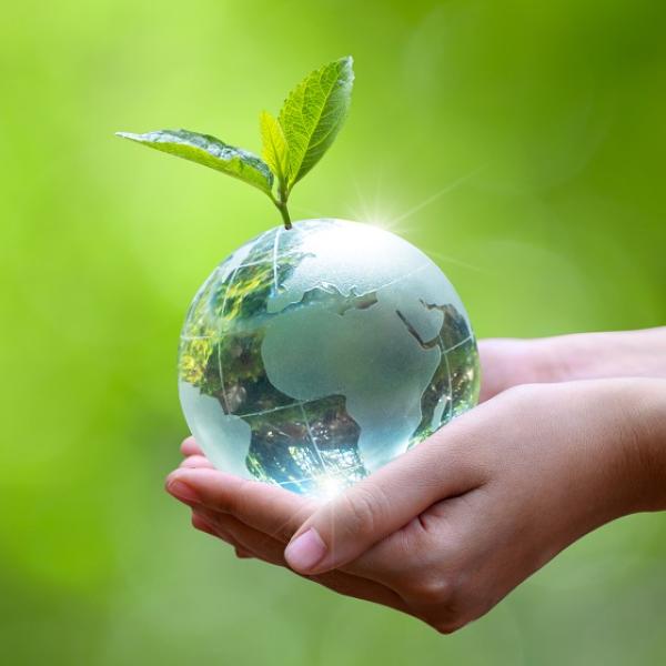 Sprouting glass globe