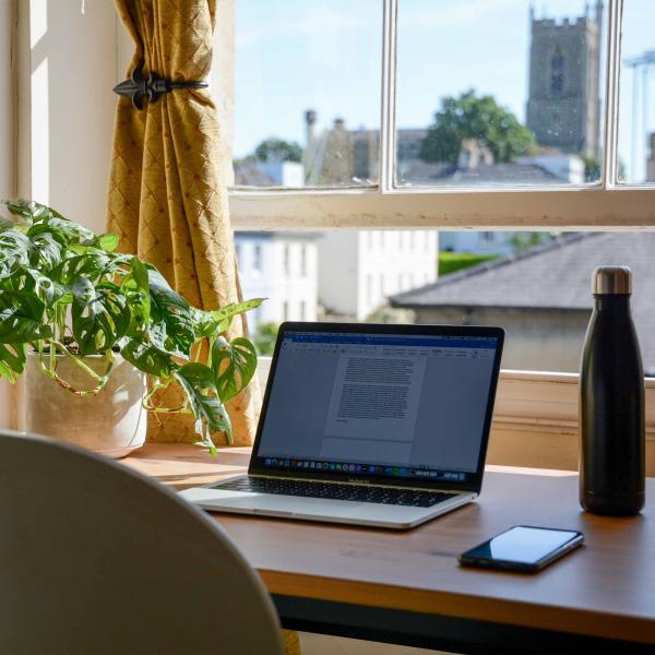 nhs-benefits Laptop and plant on desk overlooking a window