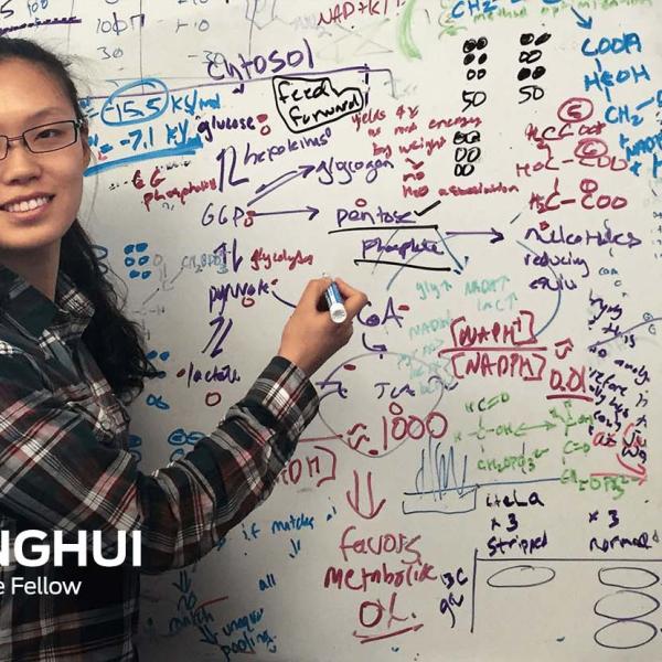 project-opportunity-conghui Conghui photo