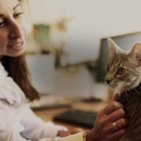 woman-with-cat woman-with-cat