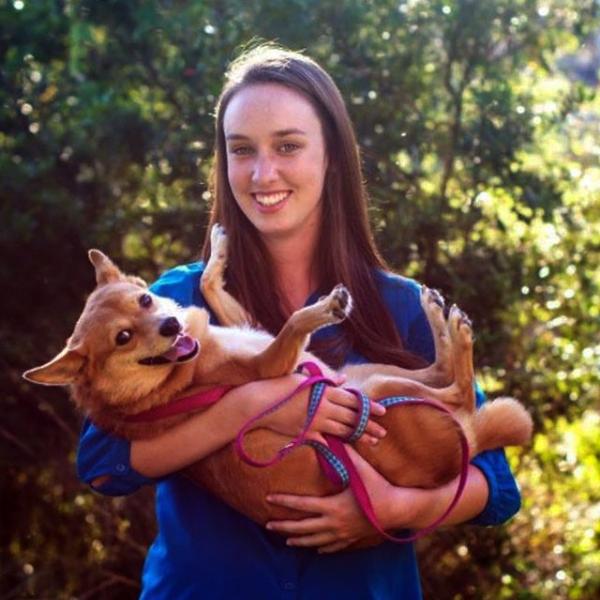 Tess Purina intern purina intern