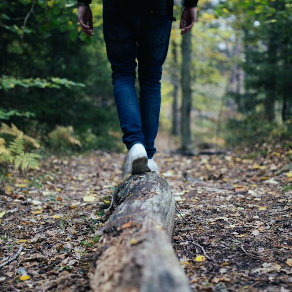 view of a person balancing on a log