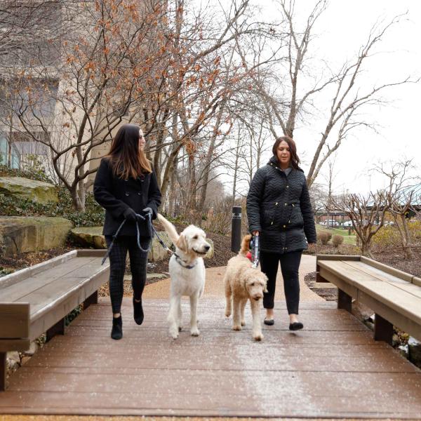 Inspiring_Partnership