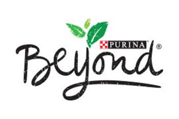 Beyond Logo