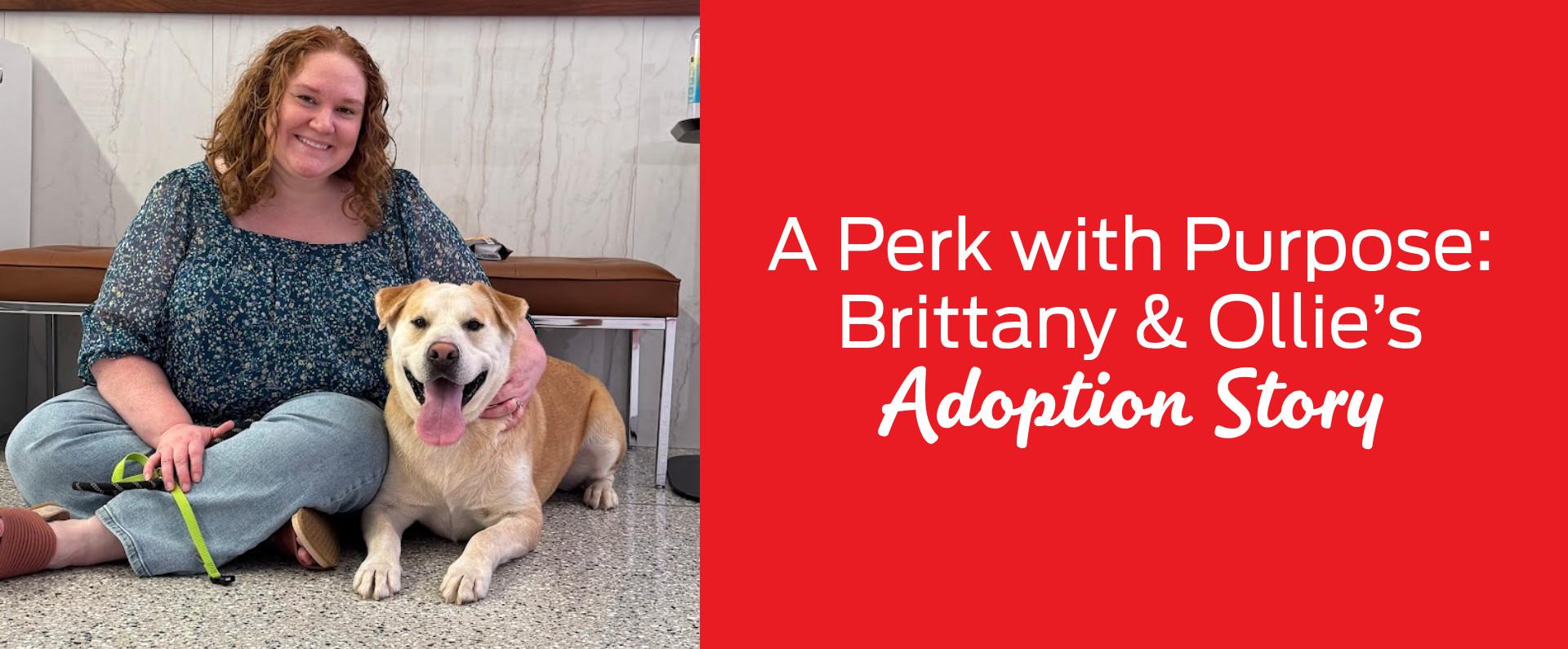 Woman sitting on floor with a dog beside her,next to red text reading "A Perk with Purpose:Brittany & Ollie’s Adoption Story"