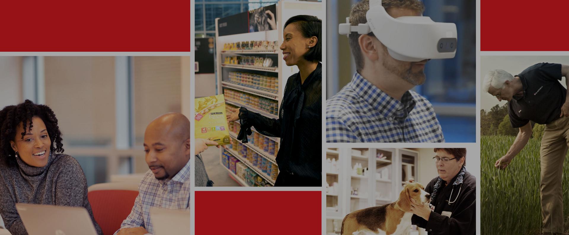 Purina associates at work with their pets