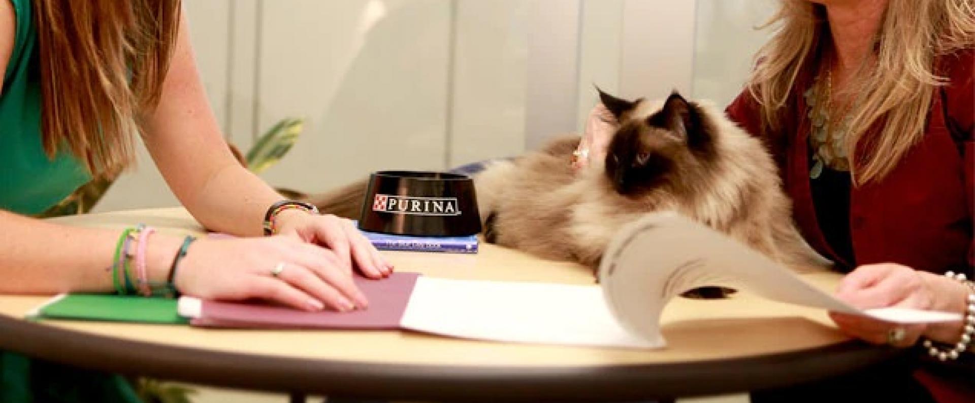 how-to-draft-a-more-effective-resume