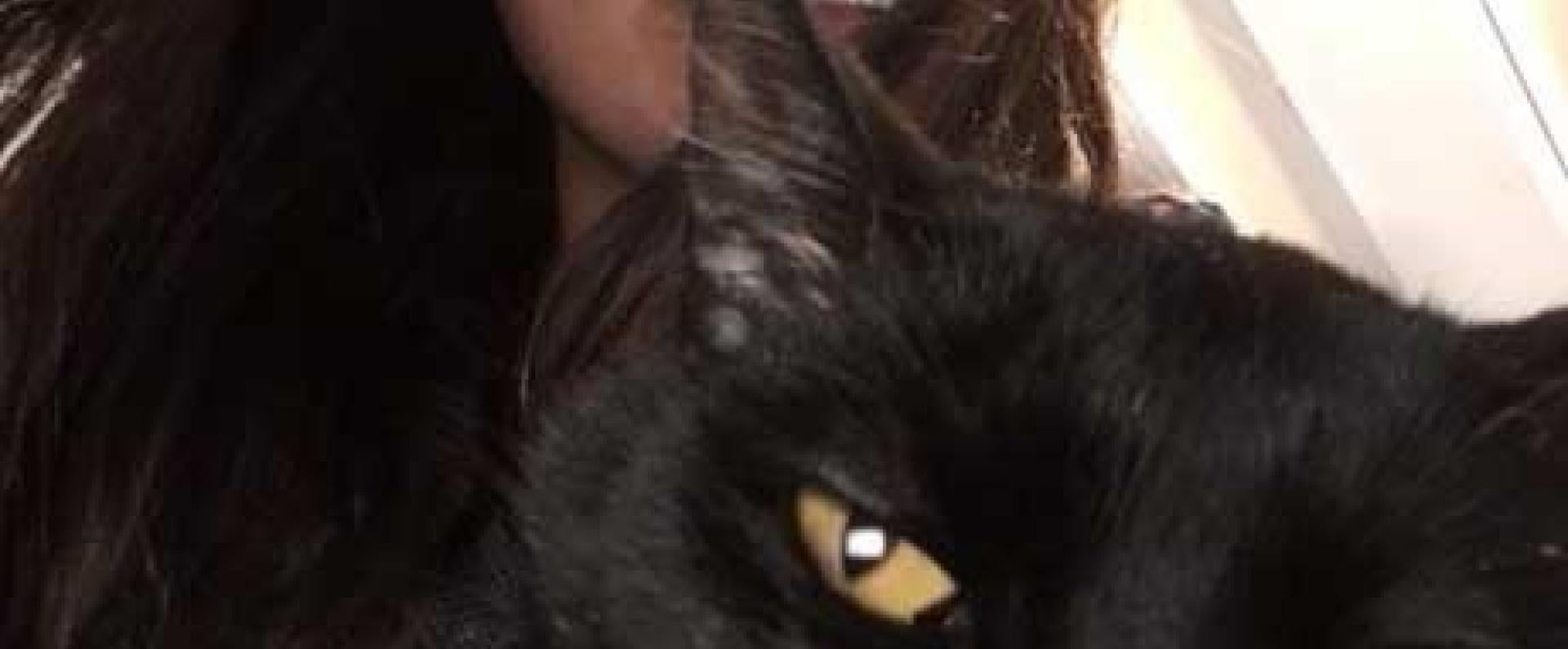 Woman smiling with cat